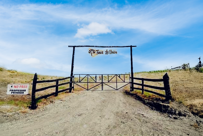 real estate template